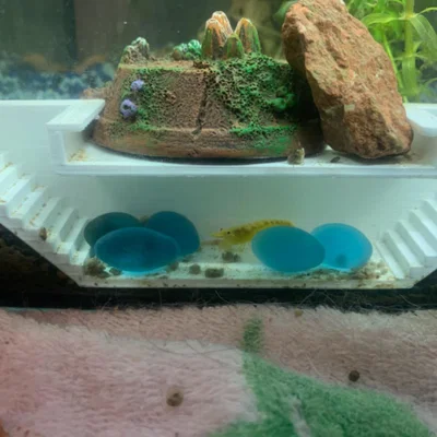 Mô hình hầm trú ẩn cho tép cảnh (Tunnel Aquarium) in 3D