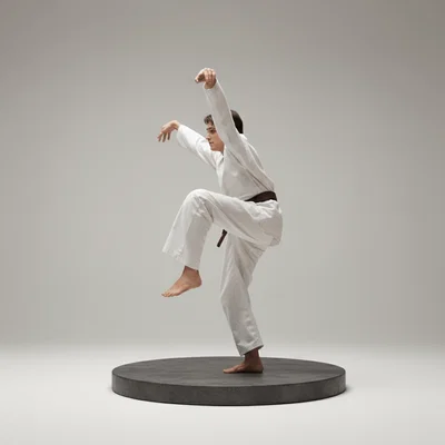 Mô hình 3D Ralph - The Karate Kid 1984 (Tư thế Hạc Tấn)