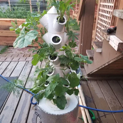 Tháp Trồng Cây Thủy Canh Lắp Ghép (Modular Hydroponic Tower Garden)