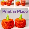 Bí Ngô Co Giãn Dạng Slinky (Stretchy, Slinky Pumpkin) - Thumbnail 1