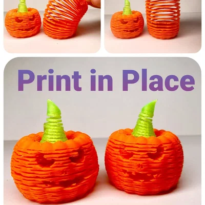 Bí Ngô Co Giãn Dạng Slinky (Stretchy, Slinky Pumpkin)