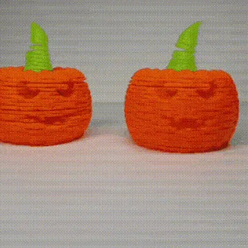 Bí Ngô Co Giãn Dạng Slinky (Stretchy, Slinky Pumpkin)