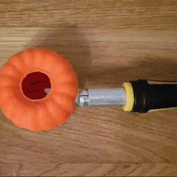 Bí Ngô Co Giãn Dạng Slinky (Stretchy, Slinky Pumpkin)
