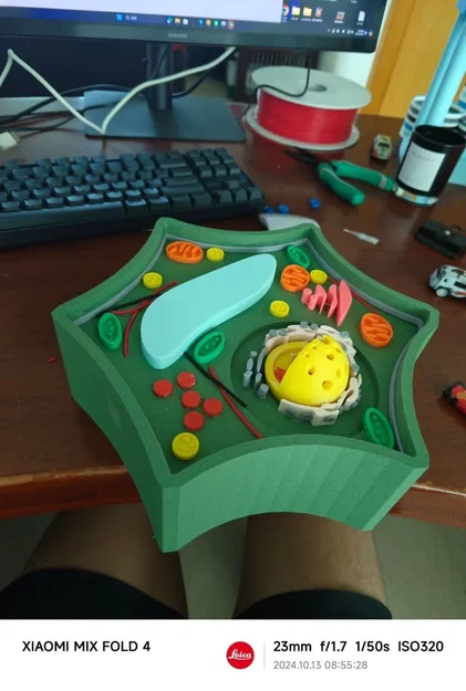 Green Cell Universe – Vũ trụ tế bào thực vật 3D - Image 2