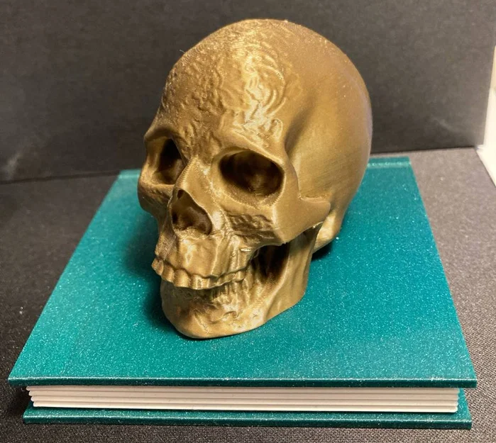 Hộp Sọ Có Ngăn Bí Mật (Secret Compartment Skull) - Image 3