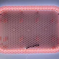 Tường lưu trữ Honeycomb kèm LED (HSW) - Thumbnail 8