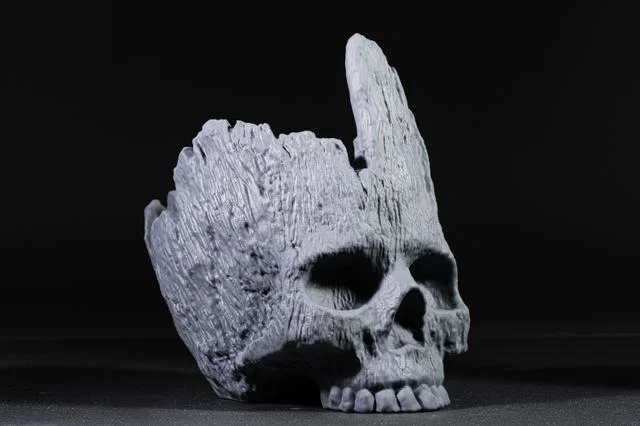 Đầu Lâu Rừng (Forest Skull - Đã có hỗ trợ in) - Image 2