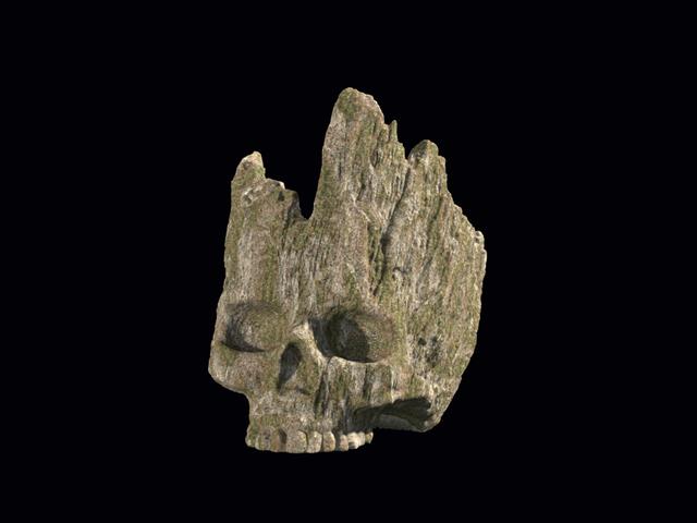 Đầu Lâu Rừng (Forest Skull - Đã có hỗ trợ in) - Image 3