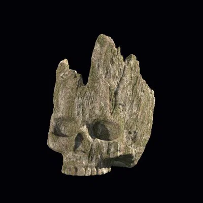 Đầu Lâu Rừng (Forest Skull - Đã có hỗ trợ in)