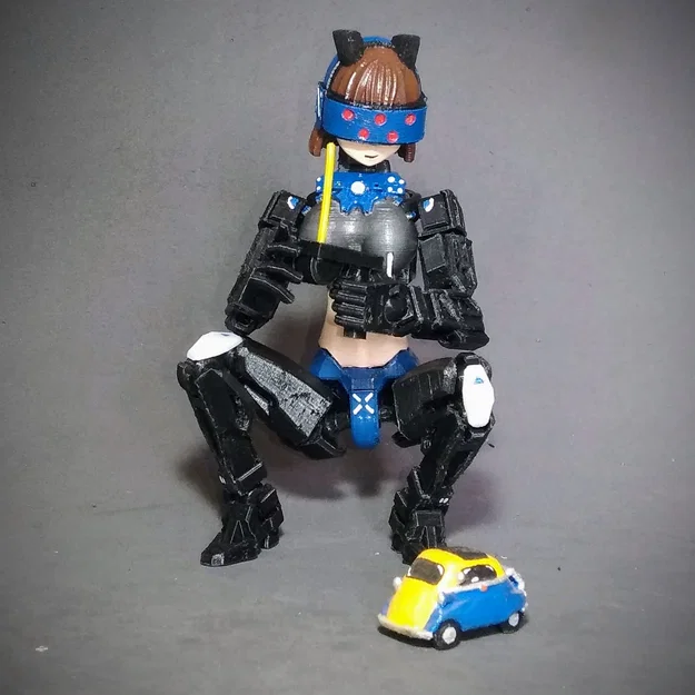 Bộ điều khiển từ xa (RC Controller) cho Dummy 13 và Lucky 13 - Image 1