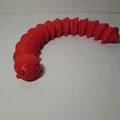 Flexible Caterpillar (4 phiên bản) - Thumbnail 3