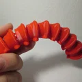 Flexible Caterpillar (4 phiên bản) - Thumbnail 5