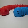 Flexible Caterpillar (4 phiên bản) - Thumbnail 8