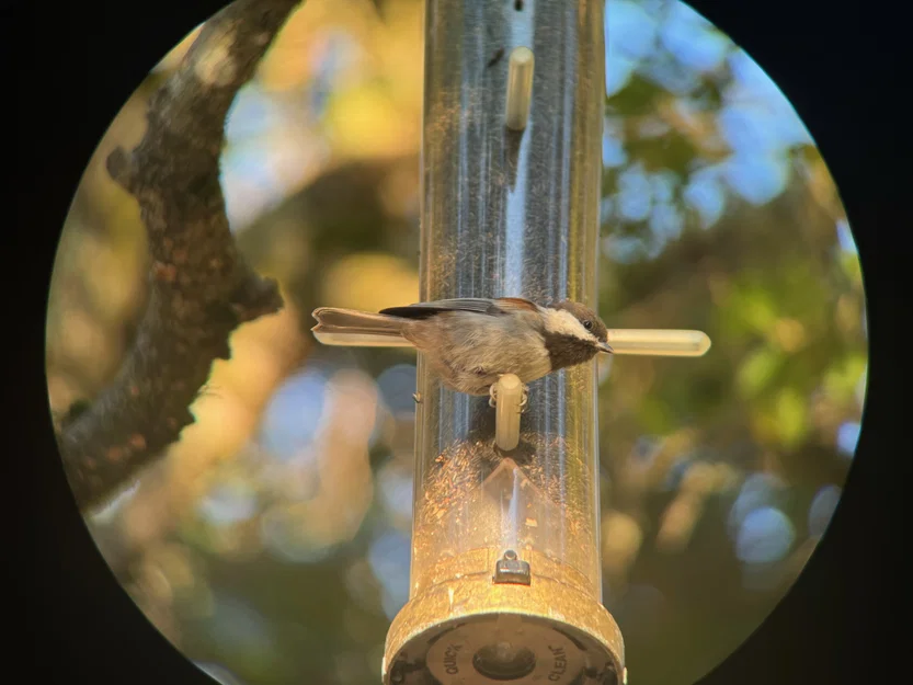 Adapter Điện thoại Từ tính Tùy chỉnh cho Ống nhòm (Digiscoping) - Image 1