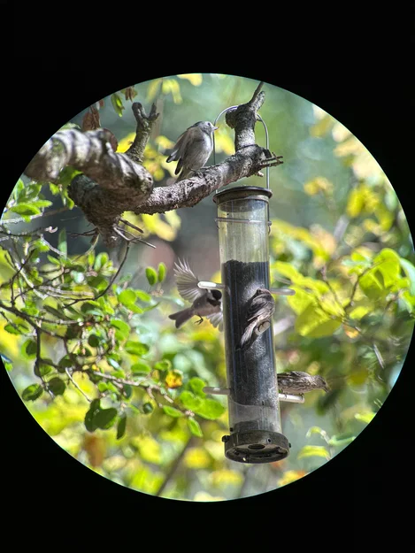 Bộ chuyển đổi điện thoại từ tính tùy chỉnh cho ống nhòm (Digiscoping) - Image 10