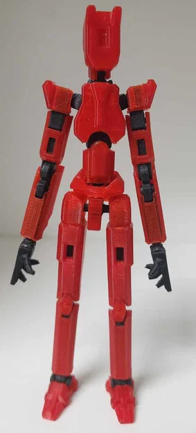 ATELIDAE 13 - Image 10