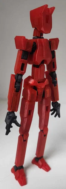 ATELIDAE 13 - Image 11