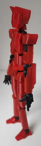 ATELIDAE 13 - Image 12