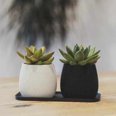 Chậu trồng cây xoắn ốc hiện đại (Modern Spiral Planter)