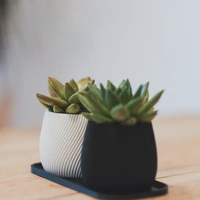 Chậu trồng cây xoắn ốc hiện đại (Modern Spiral Planter)