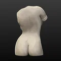 Mô hình tượng nghệ thuật thân người phụ nữ 3D - Female Torso - Thumbnail 2