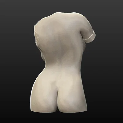 Mô hình tượng nghệ thuật thân người phụ nữ 3D - Female Torso