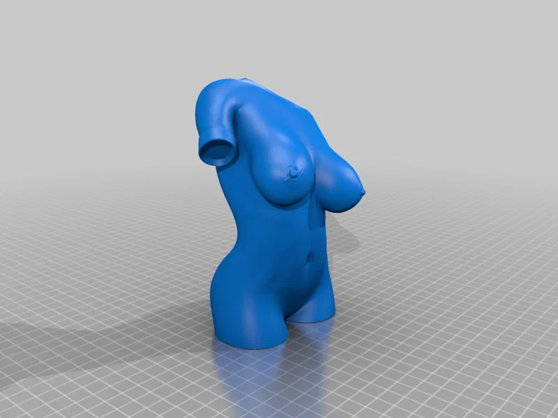 Mô hình tượng nghệ thuật thân người phụ nữ 3D - Female Torso - Image 4