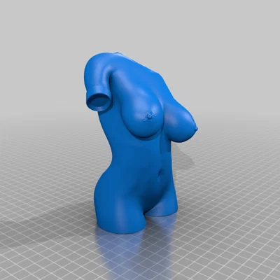 Mô hình tượng nghệ thuật thân người phụ nữ 3D - Female Torso