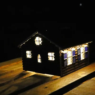 Ngôi nhà mùa đông (Winter house)