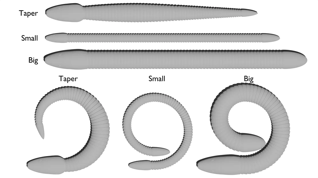 Rắn khớp nối (Articulated Snake) - in 3D print-in-place - Image 6