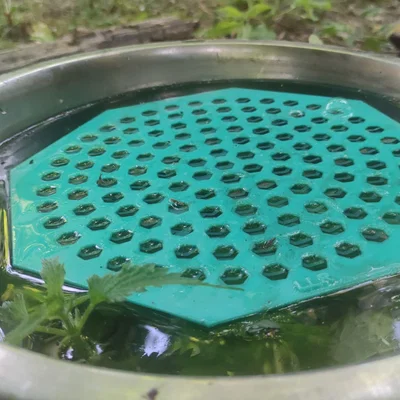 Bệ nổi cho ong uống nước (Bee water drink platform)