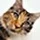 hruskin_203868