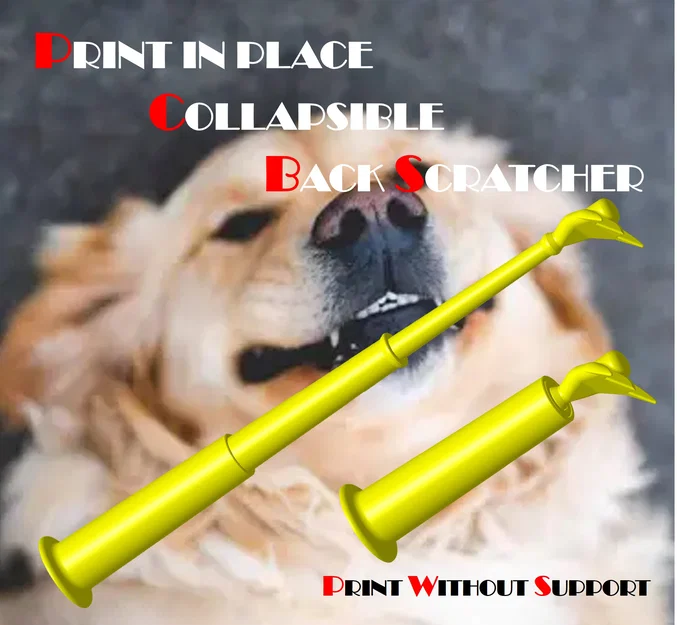 Cây Gãi Lưng Xếp Gọn Print-in-Place - Image 1