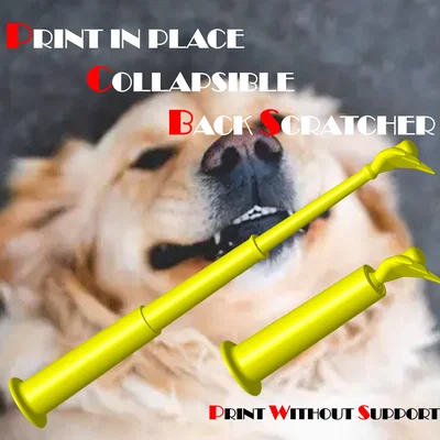 Cây Gãi Lưng Xếp Gọn Print-in-Place