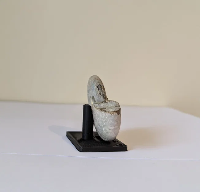 Chân đế trưng bày hóa thạch Ammonite (tùy chỉnh kích thước) - Image 2