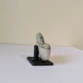 Chân đế trưng bày hóa thạch Ammonite (tùy chỉnh kích thước) - Thumbnail 2