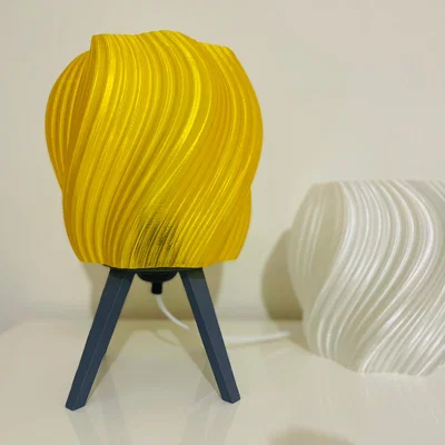 Mẫu chụp đèn trang trí 3D (Lampshade) với đường vân uốn lượn nghệ thuật