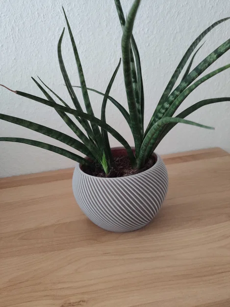 Chậu hoa (Flower Pot) - Image 1