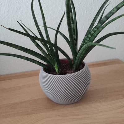 Chậu hoa (Flower Pot)
