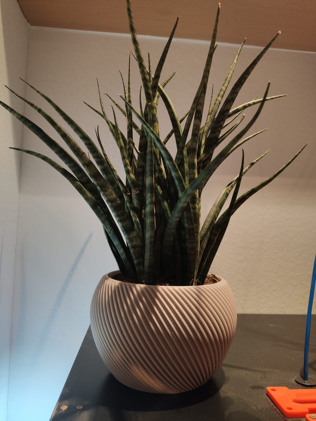 Chậu hoa (Flower Pot) - Image 2