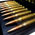 Hộp đựng đạn .308 (Print-in-Place) – .308 Ammunition Case - Thumbnail 9