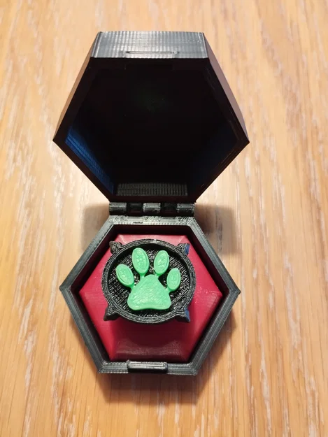 Nhẫn và hộp Cat Noir (Miraculous Ladybug) – đường kính 18 mm - Image 1