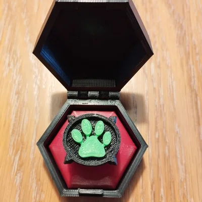 Nhẫn và hộp Cat Noir (Miraculous Ladybug) – đường kính 18 mm