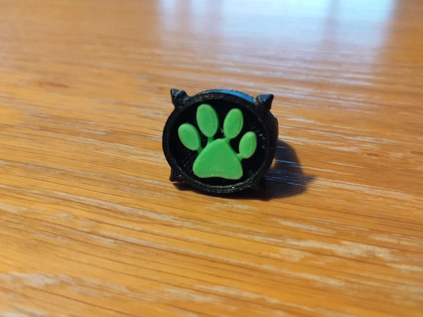 Nhẫn và hộp Cat Noir (Miraculous Ladybug) – đường kính 18 mm - Image 2