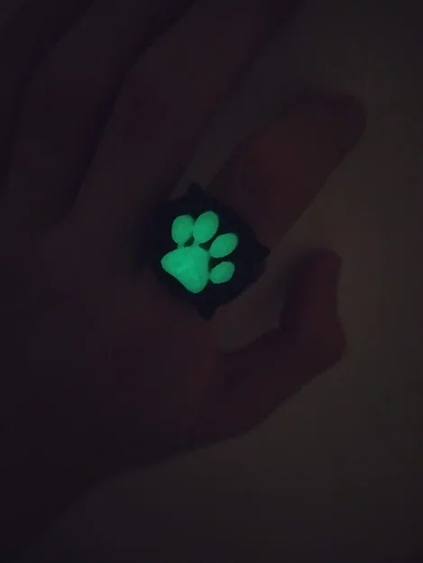 Nhẫn và hộp Cat Noir (Miraculous Ladybug) – đường kính 18 mm - Image 3