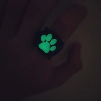 Nhẫn và hộp Cat Noir (Miraculous Ladybug) – đường kính 18 mm