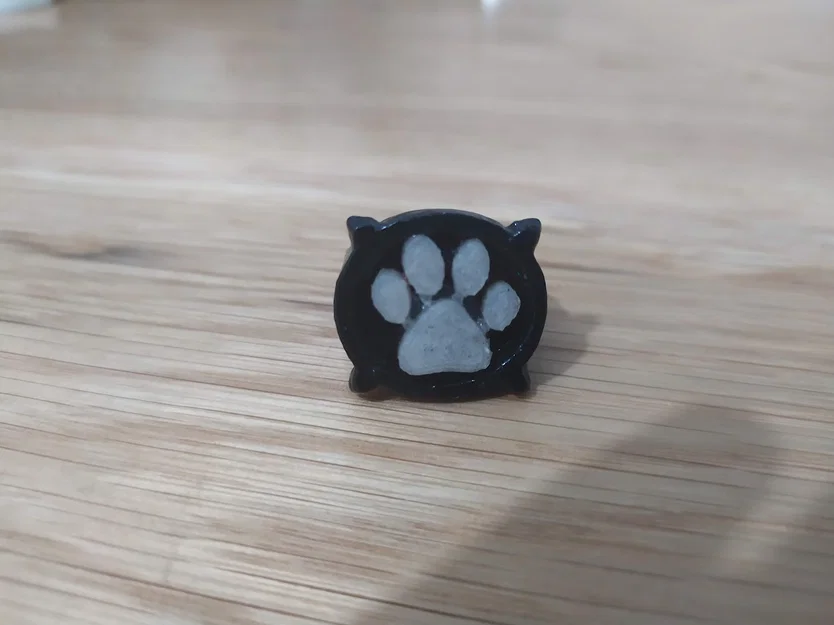 Nhẫn và hộp Cat Noir (Miraculous Ladybug) – đường kính 18 mm - Image 4