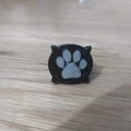 Nhẫn và hộp Cat Noir (Miraculous Ladybug) – đường kính 18 mm - Thumbnail 4