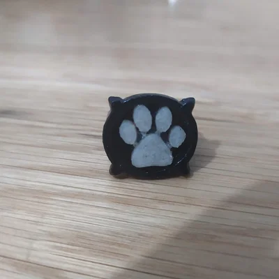 Nhẫn và hộp Cat Noir (Miraculous Ladybug) – đường kính 18 mm