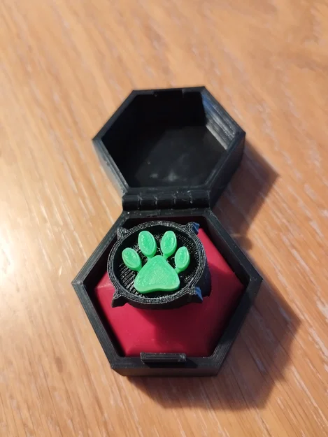 Nhẫn và hộp Cat Noir (Miraculous Ladybug) – đường kính 18 mm - Image 6